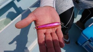 KONAYAーMARU(こなや丸) 釣果