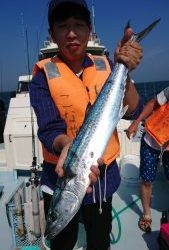 KONAYAーMARU(こなや丸) 釣果