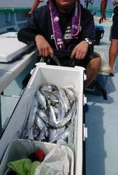 ＫＯＮＡＹＡｰＭＡＲＵ（こなや丸） 釣果