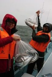 KONAYAーMARU(こなや丸) 釣果