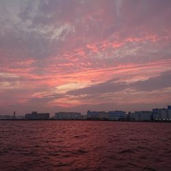 深川 吉野屋 釣果