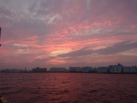 深川 吉野屋 釣果