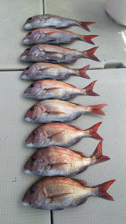 釣り舟　海竜 釣果