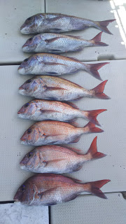 釣り舟　海竜 釣果