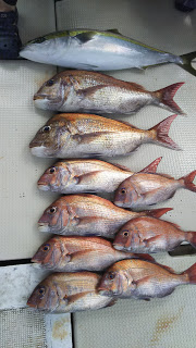 釣り舟　海竜 釣果