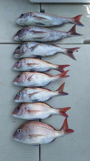 釣り舟　海竜 釣果