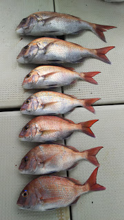 釣り舟　海竜 釣果