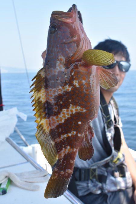 Fisherman Dreams DI 釣…