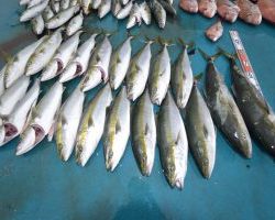 アジアマリンサービス 釣果