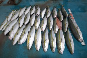 アジアマリンサービス 釣果