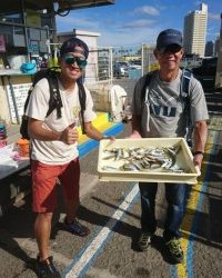 和歌山マリーナシティ釣り公園 釣果