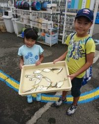 和歌山マリーナシティ釣り公園 釣果
