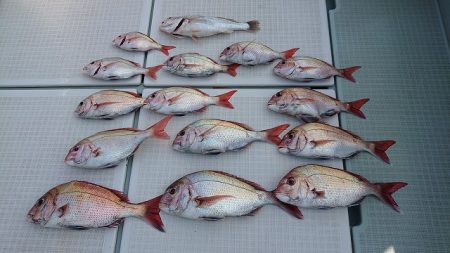 フィッシングボートACE（エース） 釣果