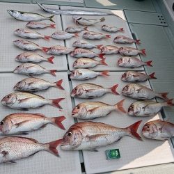 フィッシングボートACE(エース) 釣果