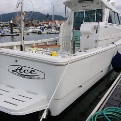 フィッシングボートACE(エース) 釣果