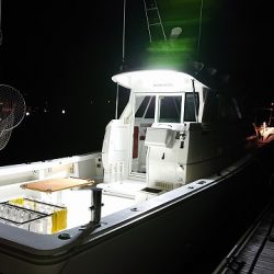 フィッシングボートACE(エース) 釣果