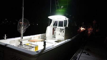 フィッシングボートACE(エース) 釣果