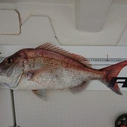 フィッシングボートACE(エース) 釣果