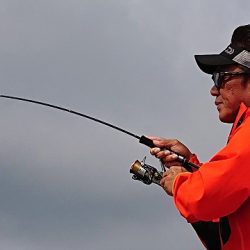 フィッシングボートACE(エース) 釣果