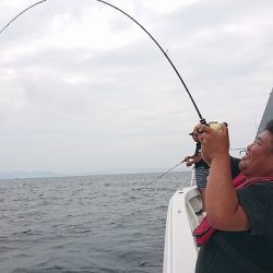 フィッシングボートACE(エース) 釣果