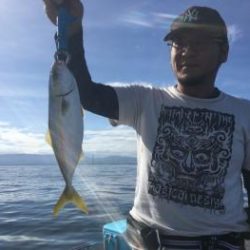 シーマジカル 釣果