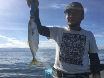 シーマジカル 釣果