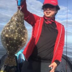 シーマジカル 釣果