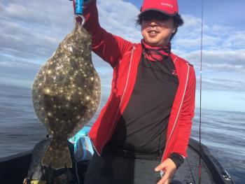 シーマジカル 釣果