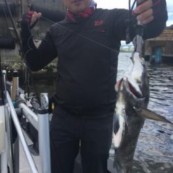 シーマジカル 釣果