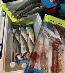 愛海丸 釣果