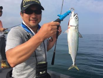 シーマジカル 釣果