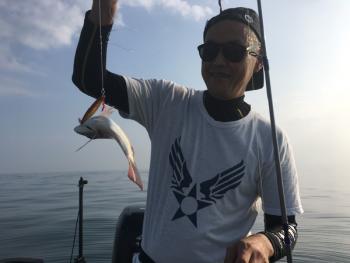 シーマジカル 釣果