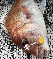 フィシングボートAir(エアー) 釣果