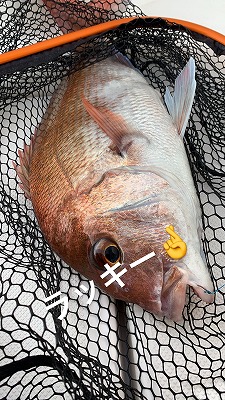 フィシングボートAir(エアー) 釣果