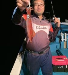 愛海丸 釣果
