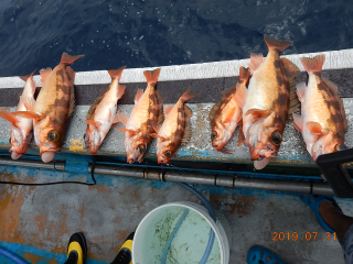 作十丸 釣果