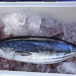 喜平治丸 釣果