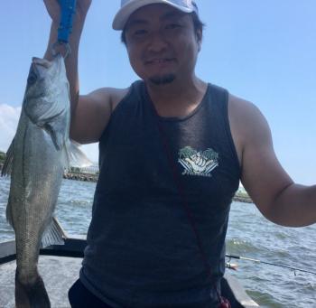 シーマジカル 釣果