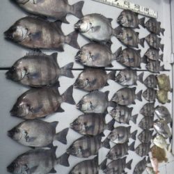 磯部釣船 直栄丸 釣果