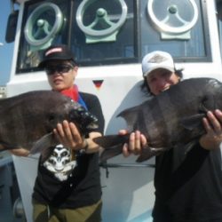 磯部釣船 直栄丸 釣果