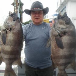 磯部釣船 直栄丸 釣果