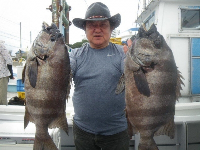 磯部釣船 直栄丸 釣果