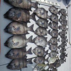 磯部釣船 直栄丸 釣果