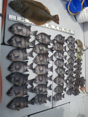 磯部釣船 直栄丸 釣果