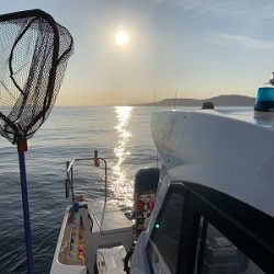 フィシングボートAir(エアー) 釣果