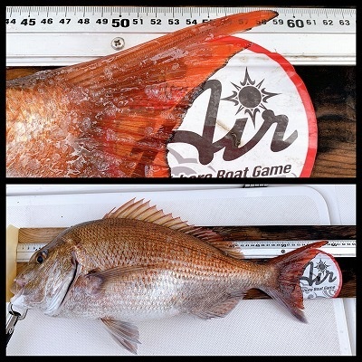 フィシングボートAir(エアー) 釣果