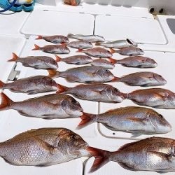 フィシングボートAir(エアー) 釣果