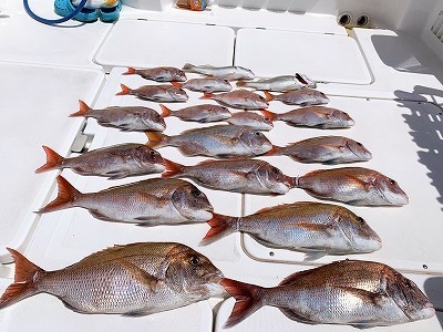 フィシングボートAir(エアー) 釣果