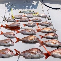 フィシングボートAir(エアー) 釣果