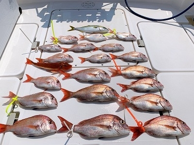 フィシングボートAir(エアー) 釣果